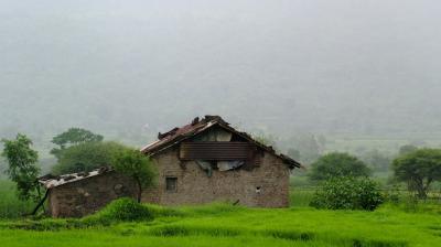 IMD Chandigarh Issues Yellow Alert for Four Punjab Districts, Warns of Thunderstorms Lightning...  (Representative Image)