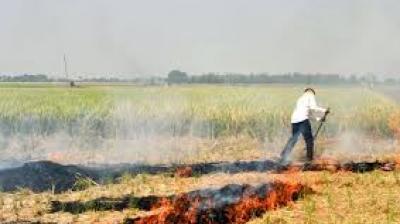 However, despite that improvement, CAQM's letter flagged both detected and undetected fire events and suggested significant gaps in compliance. File Photo.