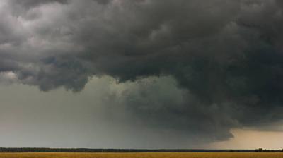 Punjab and Chandigarh Receive Rain on Friday, latest updates
