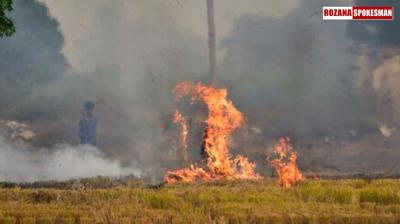 Stubble Burning Raises Pollution Levels, Air Quality in Bathinda Reaches Hazardous Levels