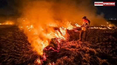 Punjab Stubble Burning Latest News Today