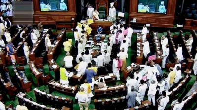 TDP members in the Lok Sabha today once again raised the issue of special category