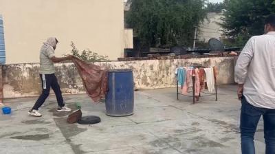 Blue Drum Murder Rajasthan: Man's body found in drum on rooftop, 3rd Incident this year, Story  (Image Courtesy: NDTV)