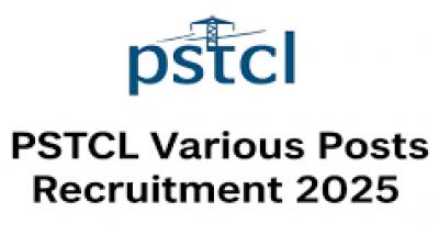 News reports note that this is one of PSTCL's largest hiring drives in recent years. File Photo.