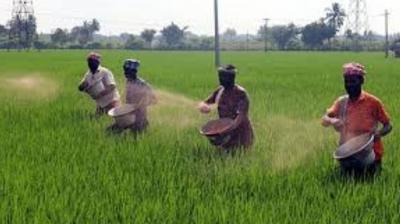 Disappointment Looms Over Punjab’s Agriculture with 2025-26 Central Budget