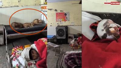 Uttar Pradesh govt hospitals collapsing and no longer safe? Yogi failing? Here's what's Happening