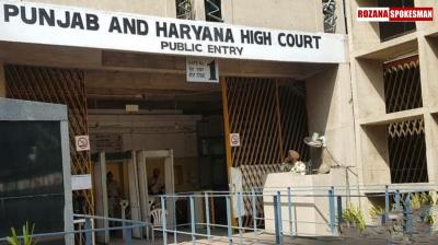 High Court Dismisses Petitions on Panchayat Elections, Confirms Polls to Proceed as Scheduled