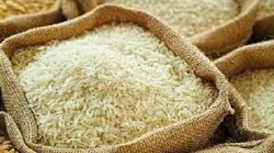 The breakdown in banking operations and internet services has stalled normal trade flows and created a climate of deep uncertainty in domestic mandis. File Photo.