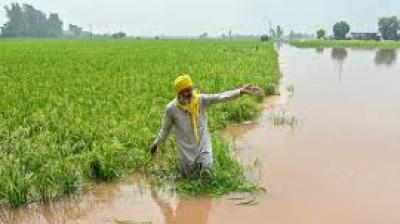 The Cabinet meeting, chaired by Chief Minister Bhagwant Mann, also approved the extension of the One-Time Settlement (OTS) scheme of the Punjab Small Industries and Export Corporation (PSIEC). File Photo.