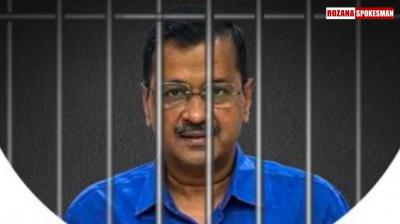 Blue Tick removed from AAP, AAP Leaders including CM Bhagwant Mann, from X; here's what we know