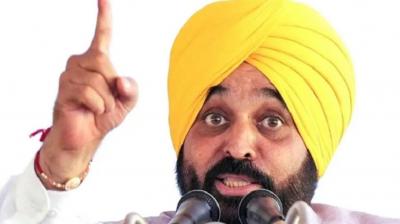 Punjab Government Creates 45,560 Jobs for Youth in Just Two and a Half Years