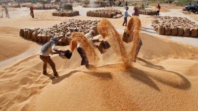 28446 tonnes of paddy from various procurement centres in the State