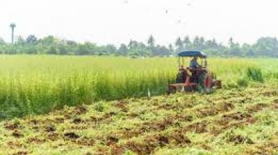 They emphasised that reliance on chemical fertilisers alone, without replenishing organic matter, has weakened soil fertility over time. File Photo.