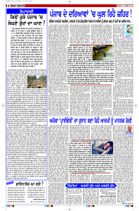 Latest Punjabi Newspaper | Punjabi News Rozana Spokesman Epaper