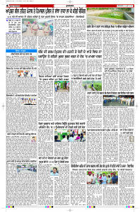 Latest Punjabi Newspaper | Punjabi News Rozana Spokesman Epaper