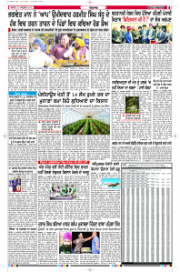 Latest Punjabi Newspaper | Punjabi News Rozana Spokesman Epaper