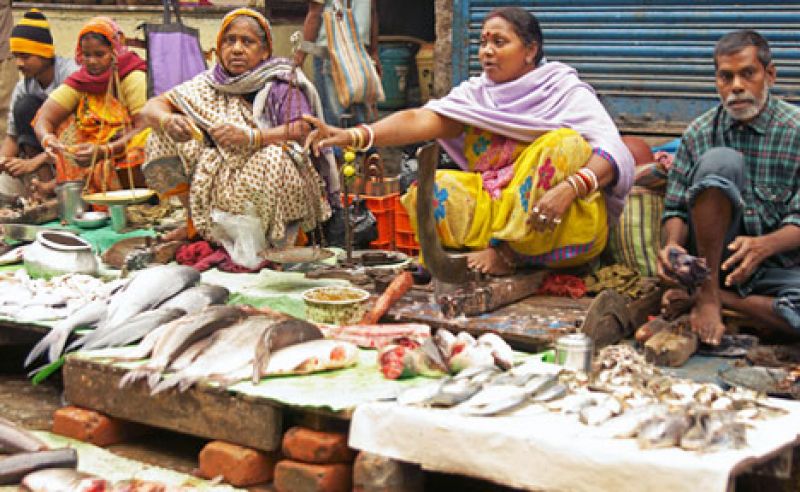 Fish sellers at a street market