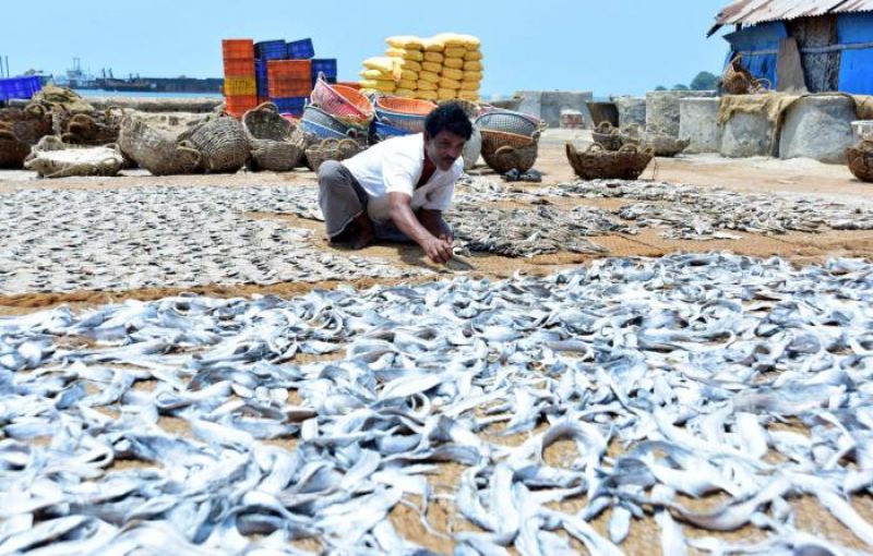 Meat scam leads to surge in fish sales across city