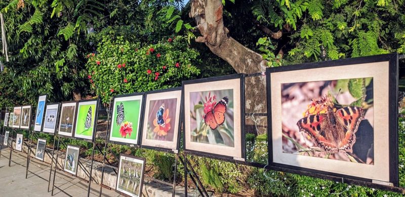 WILDLIFE WEEK - 2021 AT SUKHNA LAKE 