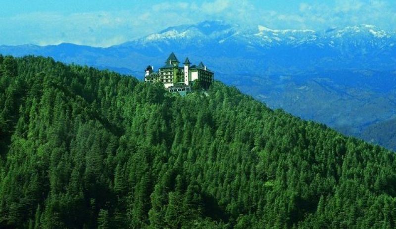 Green Valley: The Mountains filled with trees are on way from Shimla to kufri. 
