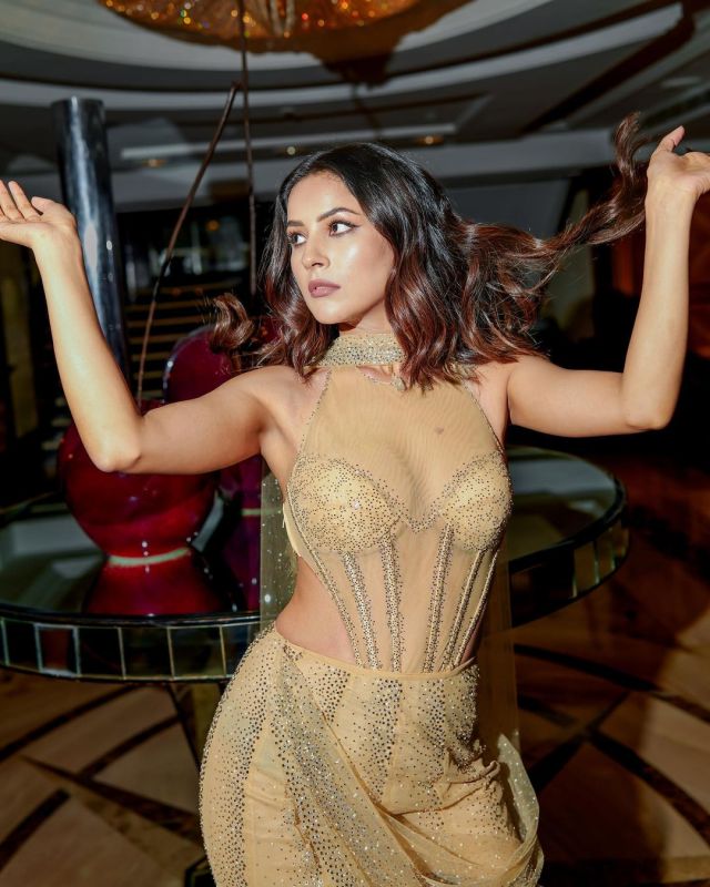 Shehnaaz Gill Sizzles in Latest Photos: Setting Social Media Ablaze!
