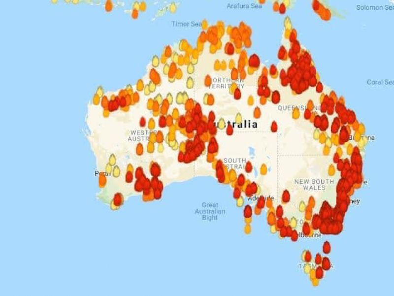Bushfires destroy Australian wildlife