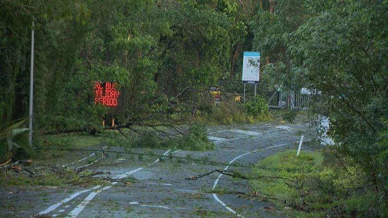 Storm Claims 2 Lives in Australia, Over One Million Homes in Queensland Stranded as Trees Fall 
