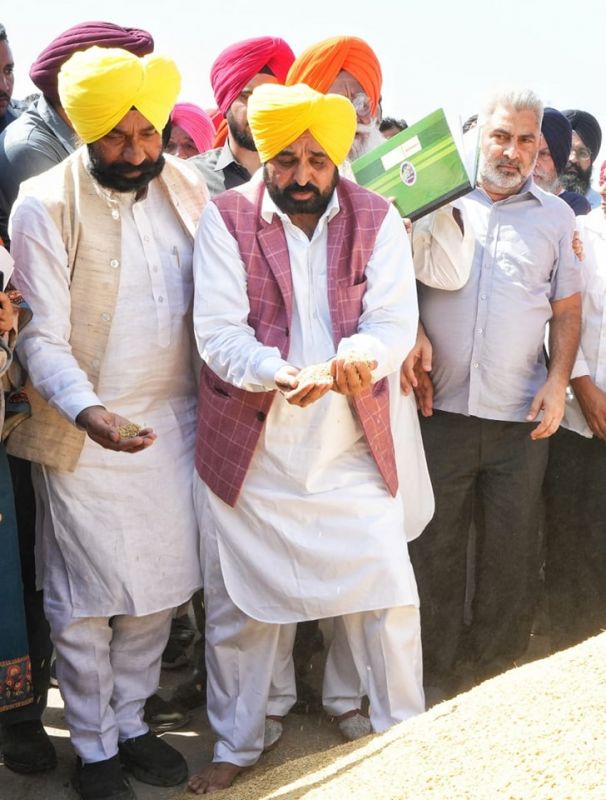 Punjab CM CM Bhagwant Mann Reviewed Purchase of Paddy Crop at Grain Market of Sri Chamkaur Sahib. The CM also interacted with farmers.
