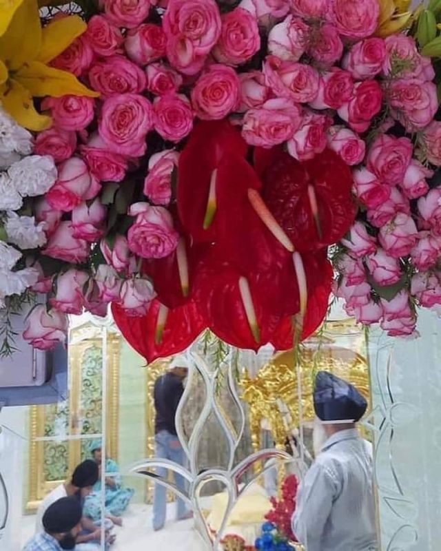 Exquisite Flower Decorations Adorn Golden Temple & Akal Takht Sahib for Sri Guru Granth Sahib Ji's Prakash Purab Celebration
