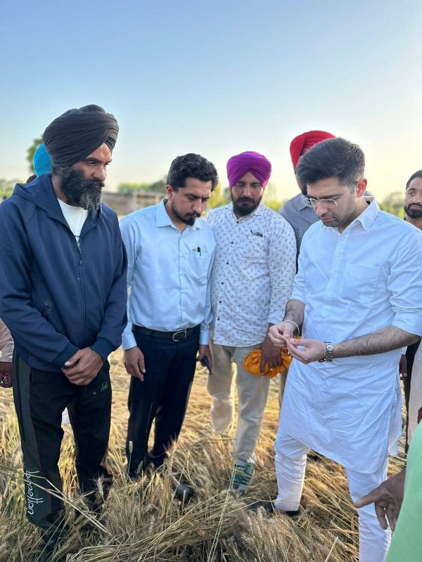 MP Raghav Chadha Reaches Rupnagar to Review Crops Damaged due to Rain