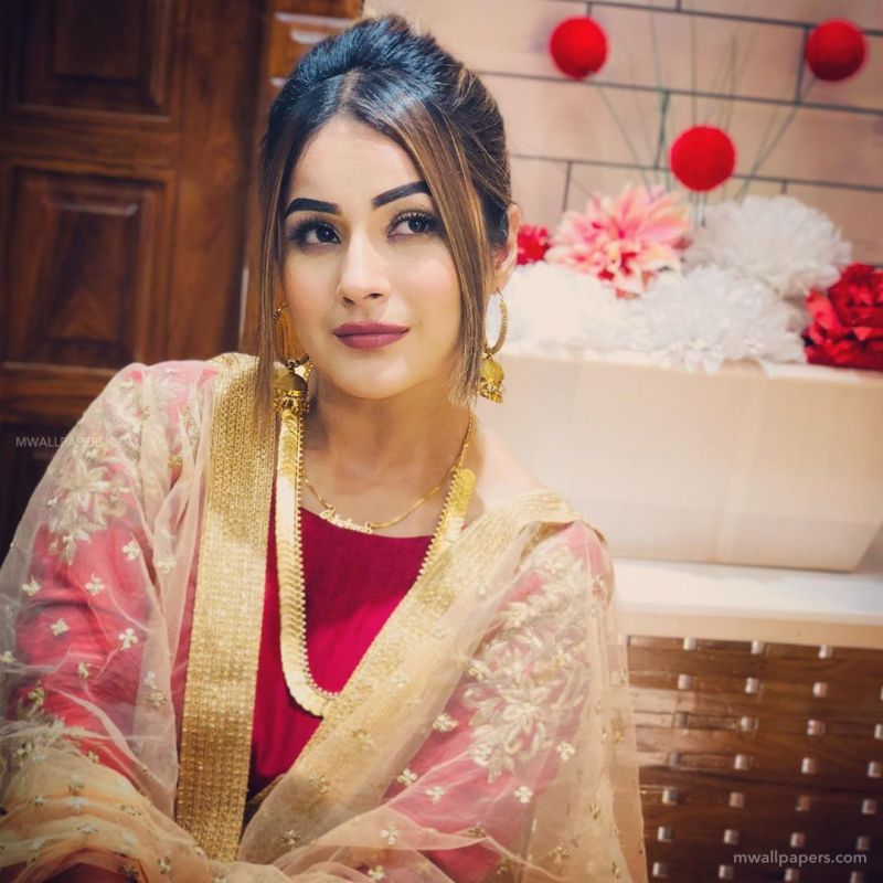 Shehnaz Kaur Gill Birthday
