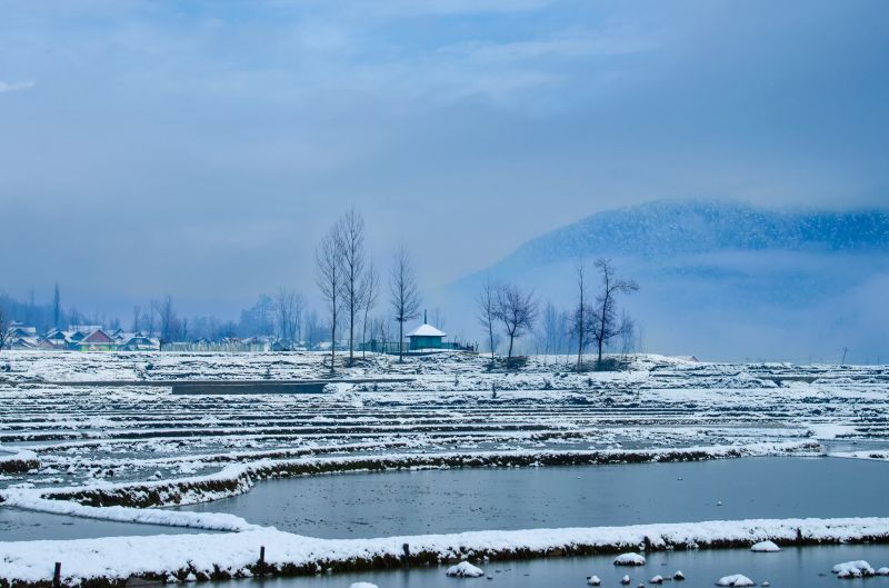See Pics: Kashmir Blanketed in Heavy Snowfall, Tourists Enjoying Beauty 