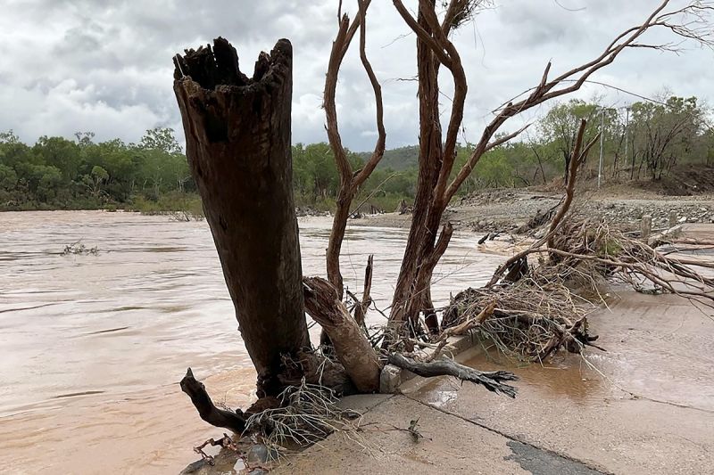 Storm Claims 2 Lives in Australia, Over One Million Homes in Queensland Stranded as Trees Fall 