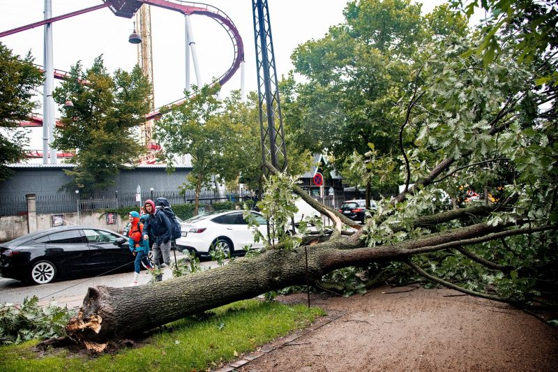 Devastating Storm Causes Widespread Power Outages and Flight Cancellations in Washington, US