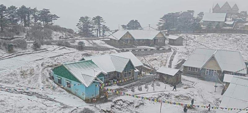 Snowfall Transforms Darjeeling Hills into a Winter Wonderland, See Pics 