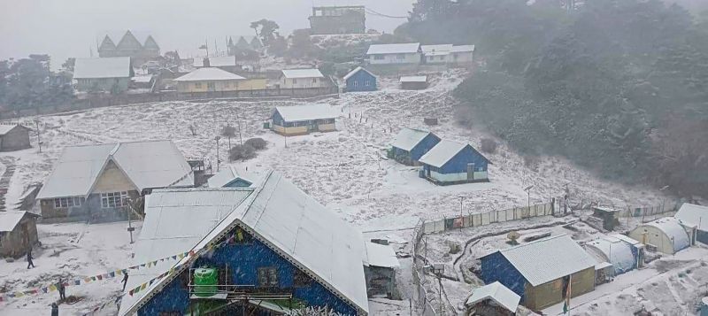 Snowfall Transforms Darjeeling Hills into a Winter Wonderland, See Pics 