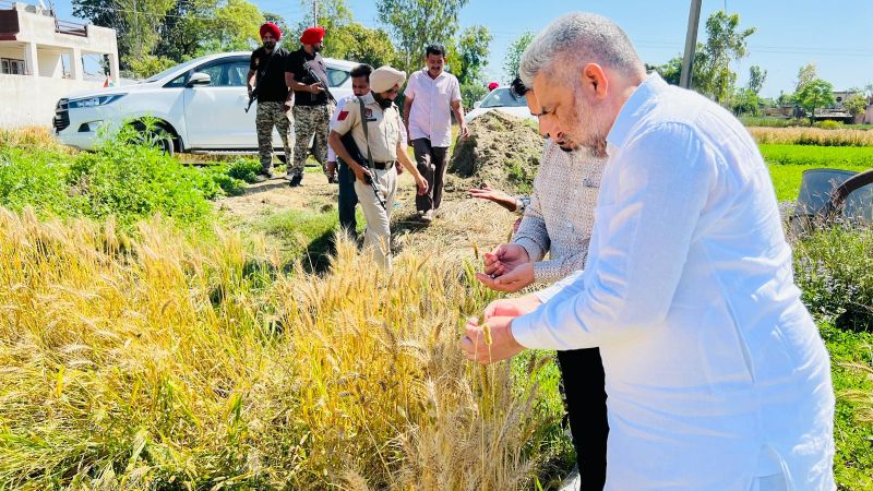 Punjab Cabinet Minister Lal Chand Kataruchakk Reviews Crops Damaged due to Unseasonal Rain in Villages Kanwan and Thakurpur of Bhoa 