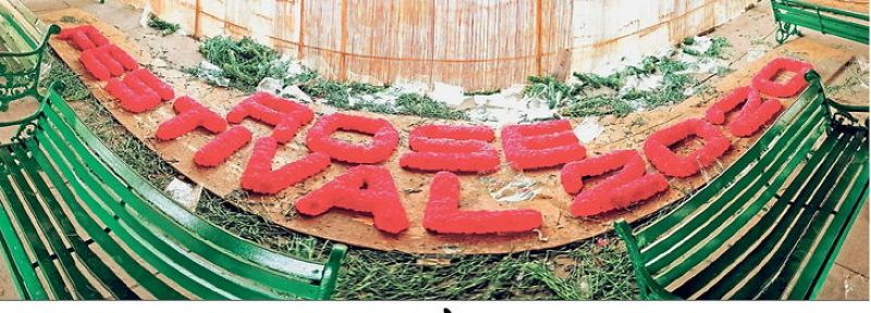 Rose Festival of Chandigarh 2020