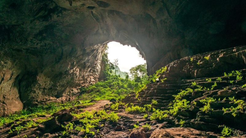 Hang Son Doong (Mountian River Cave), the largest cave in the world