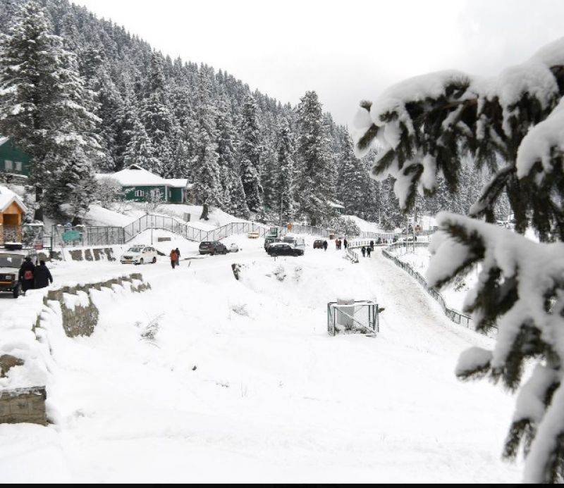 In Pics: Winter Wonderland Unfolds as Gulmarg, Kashmir, Blanketed in Heavy Snowfall