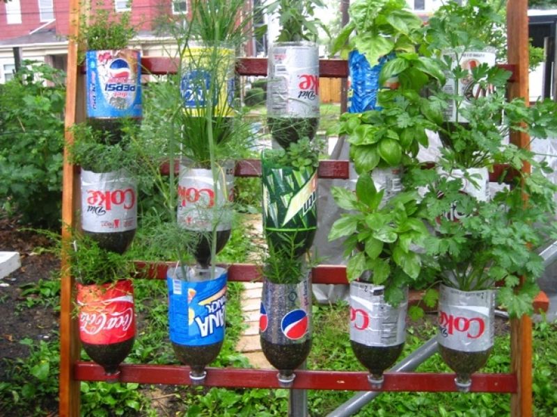 Garden with Waste Material 