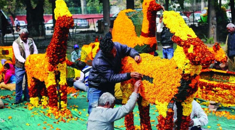 Rose Festival of Chandigarh 2020