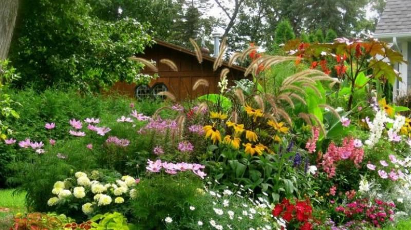 Garden with Waste Material 