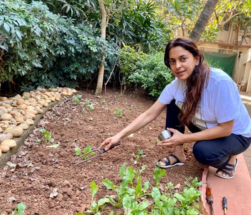 Juhi Chawla Takes To Her 'new Work' Amid Lockdown